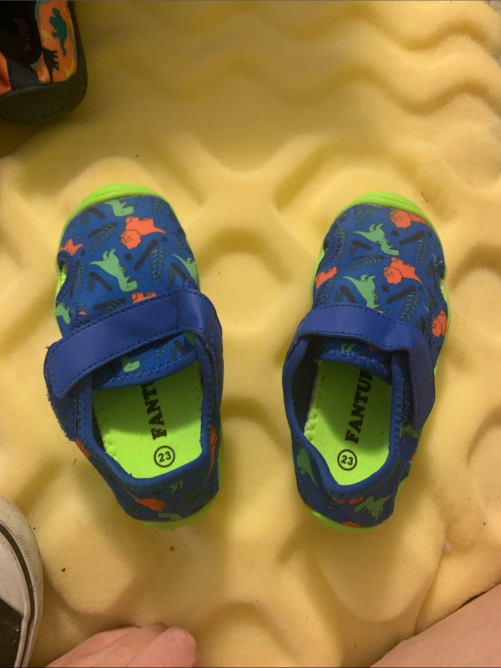 Kids Blue & Green Dinosaur Slip-On Shoes
